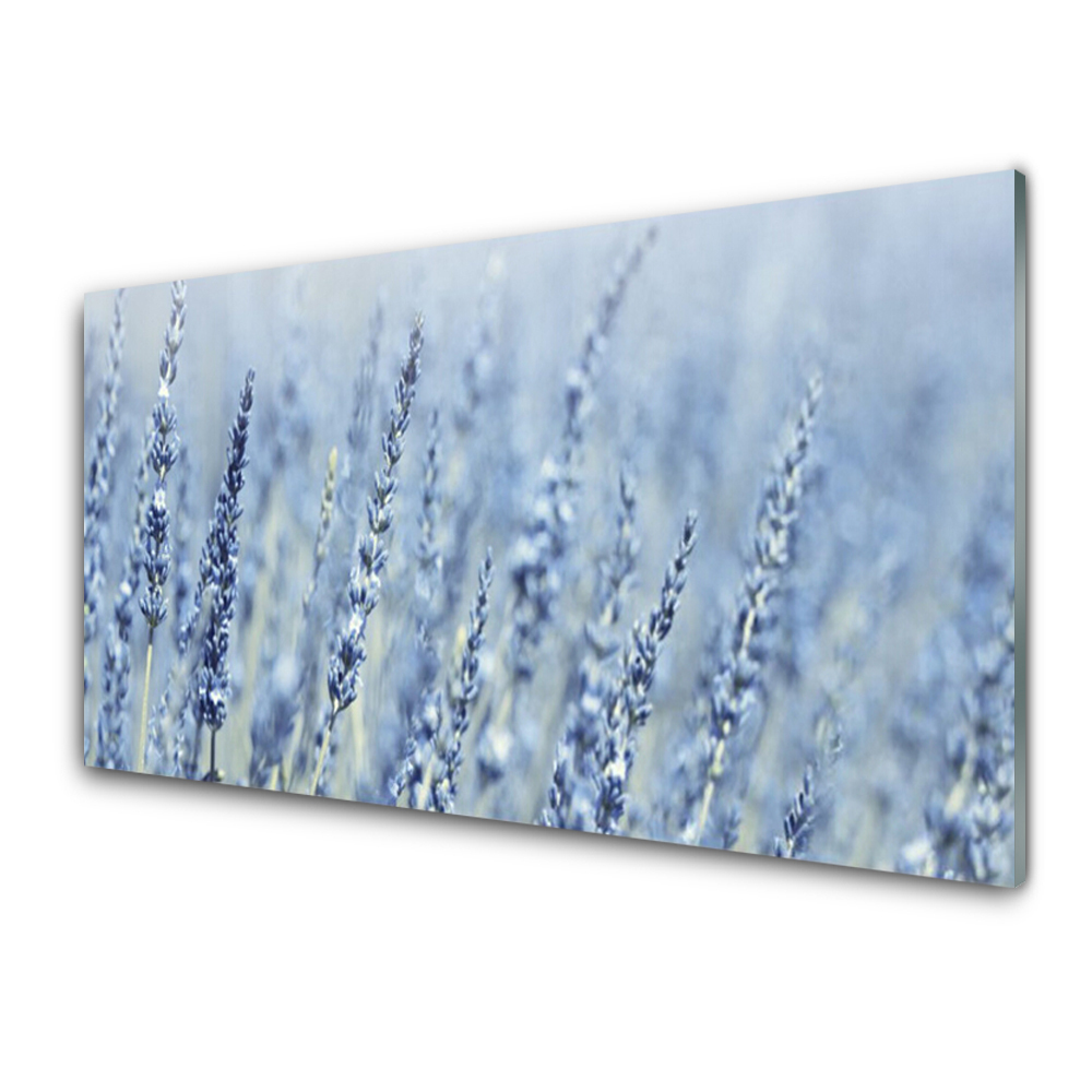 Tableau en verre Fleurs de bruyère en gros plan