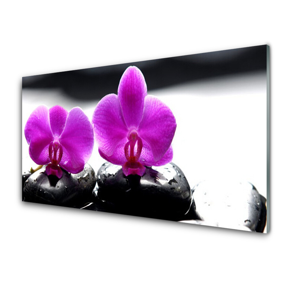 Tableau verre imprimé Deux orchidées roses et pierres