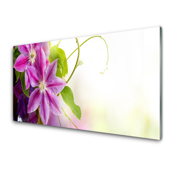 Tableau en verre Deux fleurs roses fond blanc