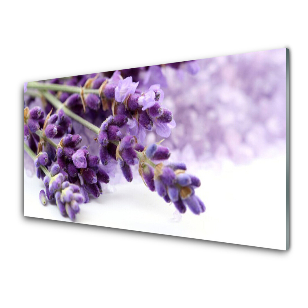 Tableau sur verre Gros plan sur des fleurs de lavande