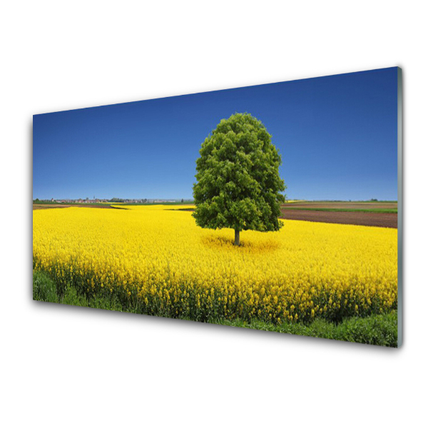 Tableau photo sur verre Champ de colza et arbre vert