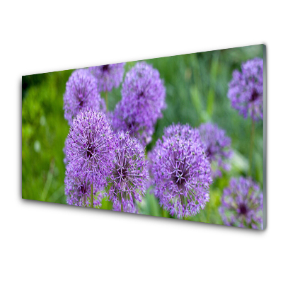 Tableau photo sur verre Fleurs violettes dans un pré