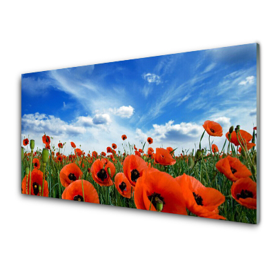 Tableau sur verre Ciel de coquelicots rouges dans la prairie