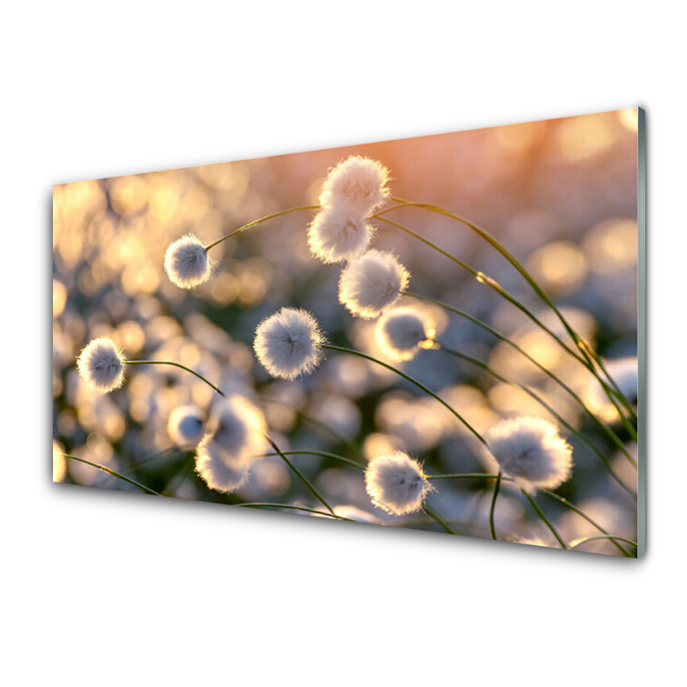 Tableau en verre Champ de petites fleurs