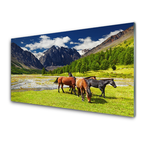 Tableau photo sur verre Chevaux dans une clairière sur fond de montagnes