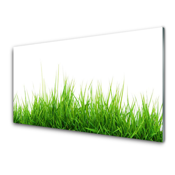 Tableau imprimé sur verre Nature herbe verte