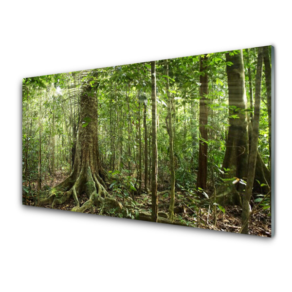 Tableau verre imprimé Forêt Nature Jungle Troncs d'arbres