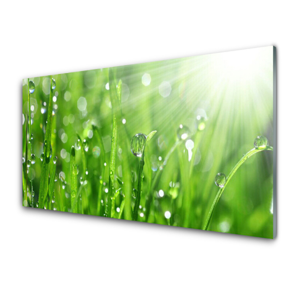 Tableau photo sur verre Gouttes d'eau sur l'herbe