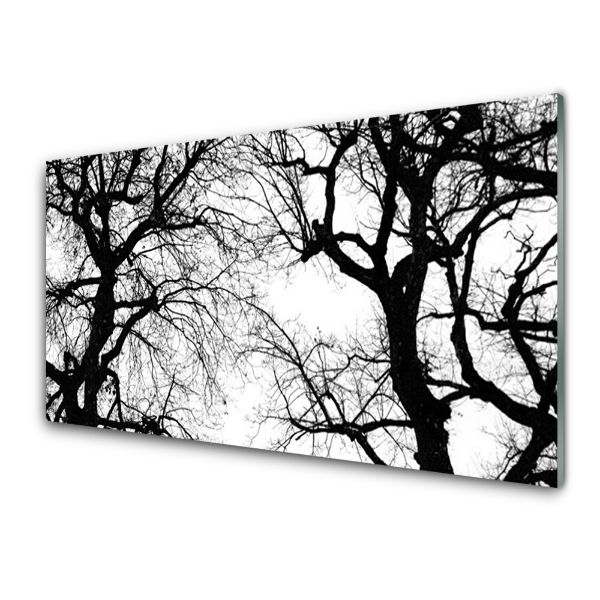 Tableau en verre Vue en noir et blanc de branches d'arbres