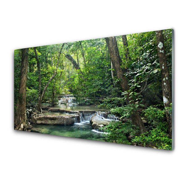 Tableau photo sur verre Cascades d'eau dans une forêt