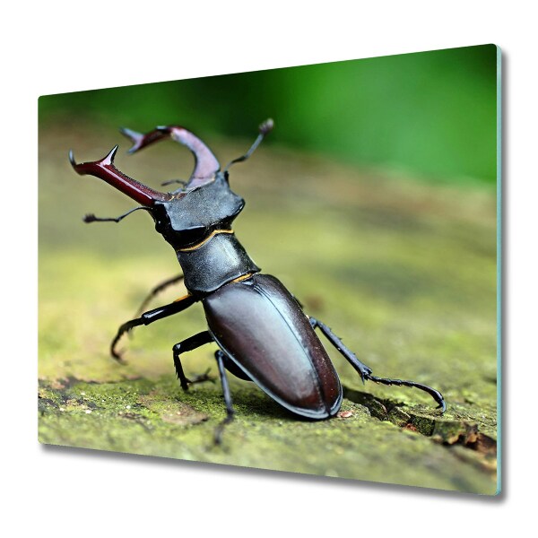 Planche à découper en verre Coccinelle