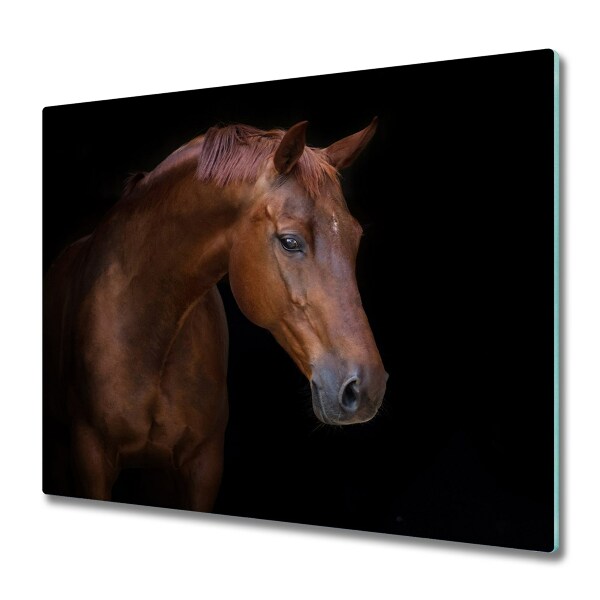 Protection plaque induction Cheval sur fond noir