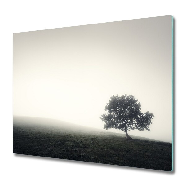 Protection plaque induction Arbre dans la brume