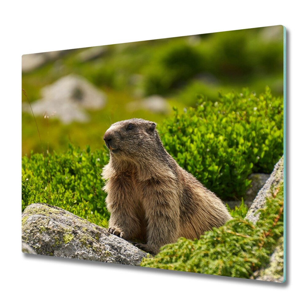 Protège plaque de cuisson Marmotte de Tatras