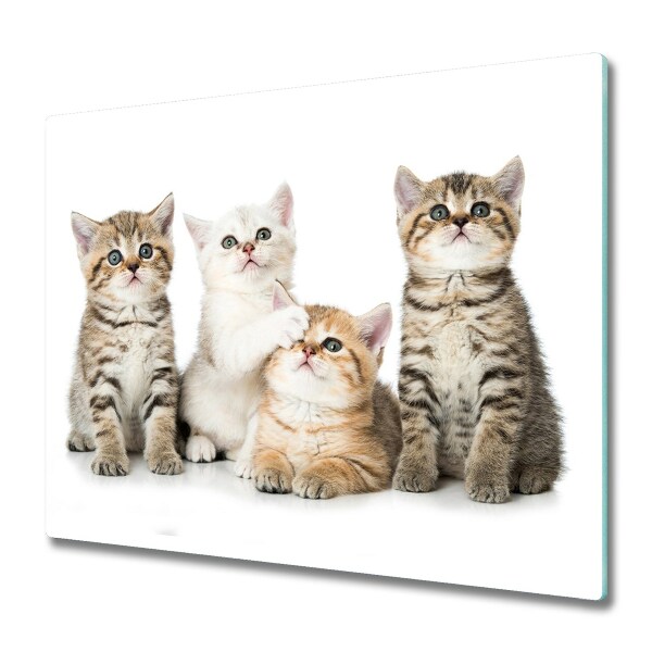 Protection pour plaque de cuisson Quatre petits chats