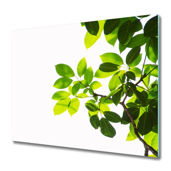 Cache plaque de cuisson Feuilles sur fond blanc