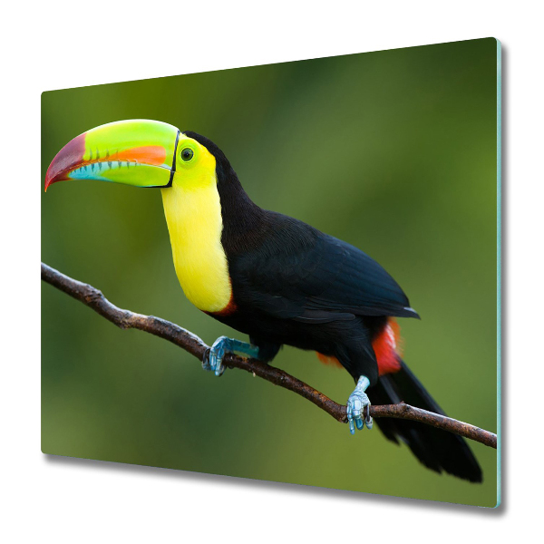 Couvre plaque de cuisson Toucan arc-en-ciel