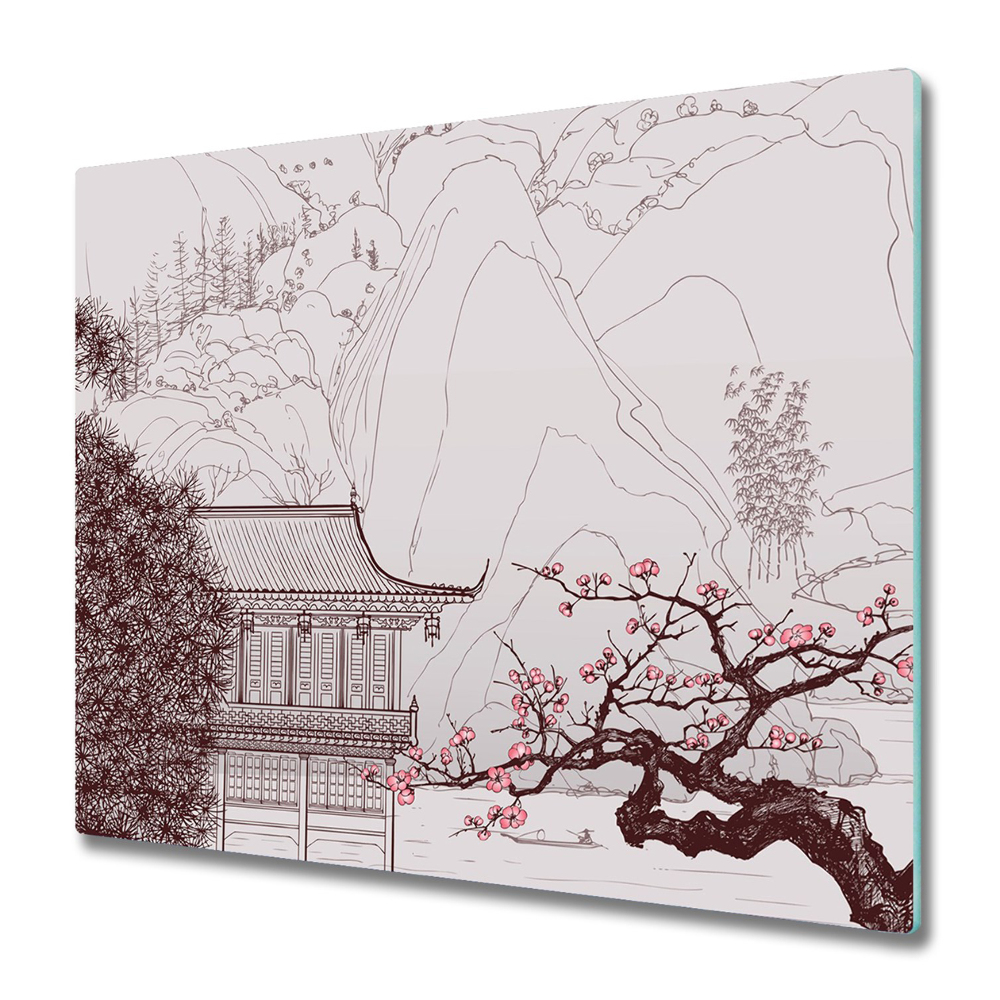 Protection plaque induction Vue japonaise