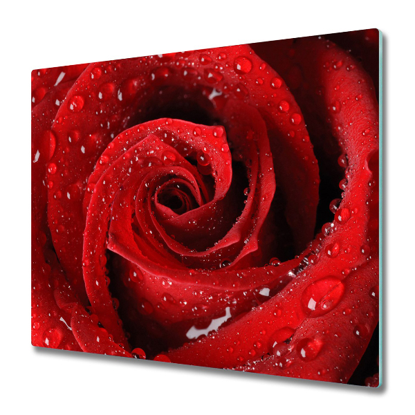 Protection pour plaque de cuisson Gouttes de rosée sur une rose