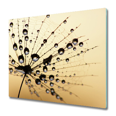 Protège plaque de cuisson Rosée sur une graine de poisson