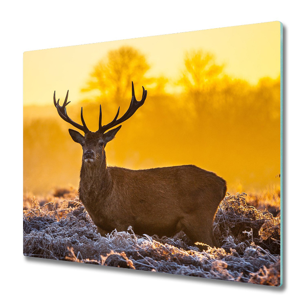 Planche à découper en verre Cerf dans un pré