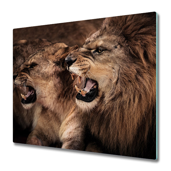 Protection pour plaque de cuisson Couple de lions rugissants