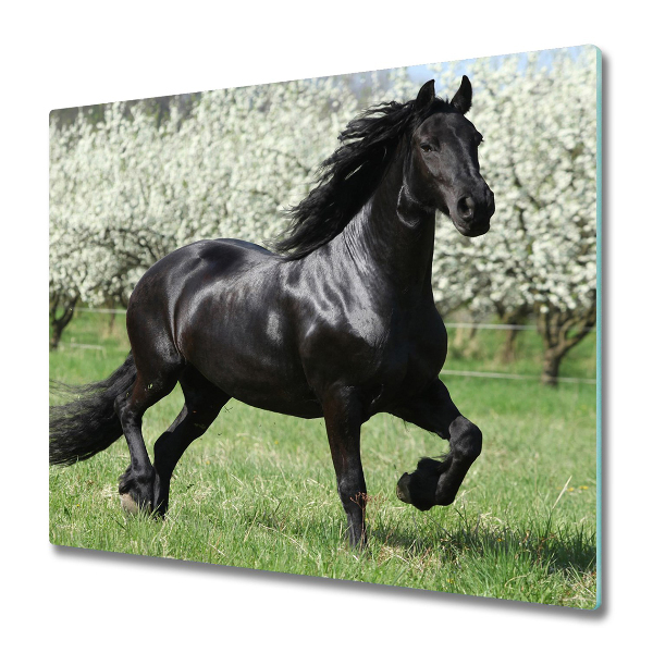 Protection plaque induction Cheval noir sur fond de fleurs