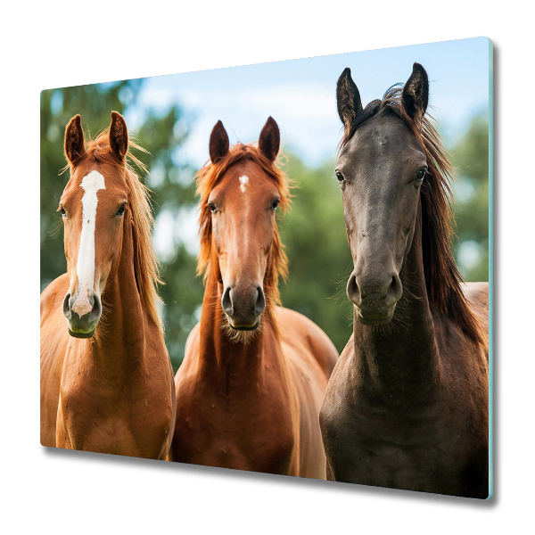 Protection plaque induction Trois chevaux