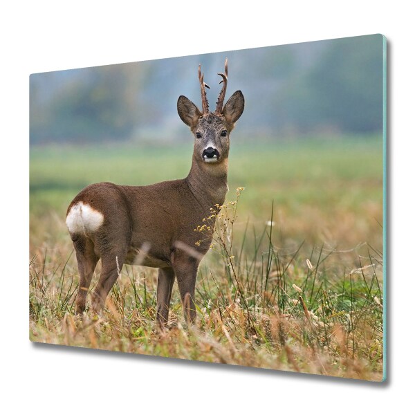 Protection pour plaque de cuisson Cerf dans une prairie