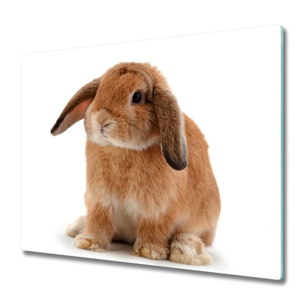 Cache plaque de cuisson Lapin mignon