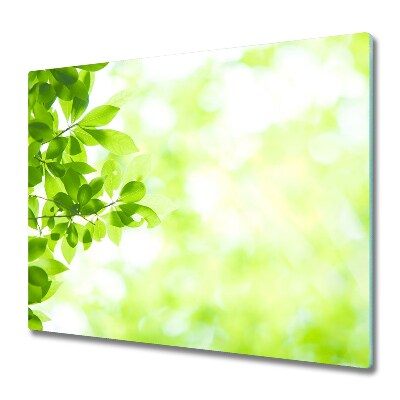 Planche à découper en verre Feuilles et fond vert