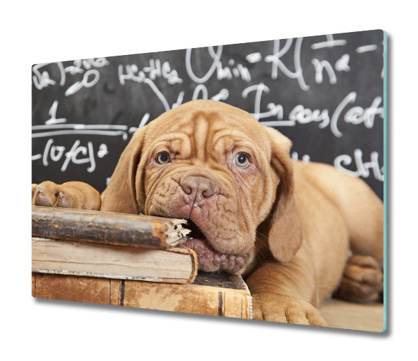 Cache plaque de cuisson Chien avec un livre