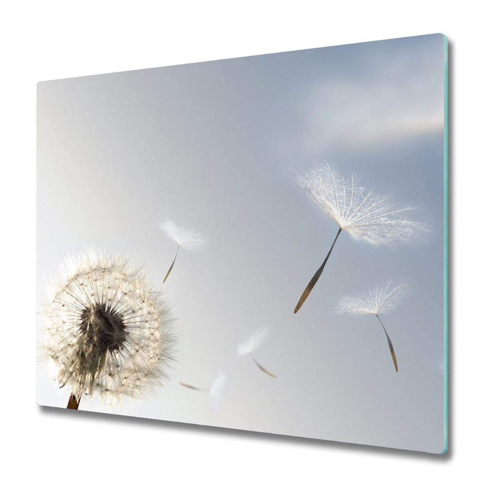 Protection pour plaque de cuisson Souffleuse dans le vent