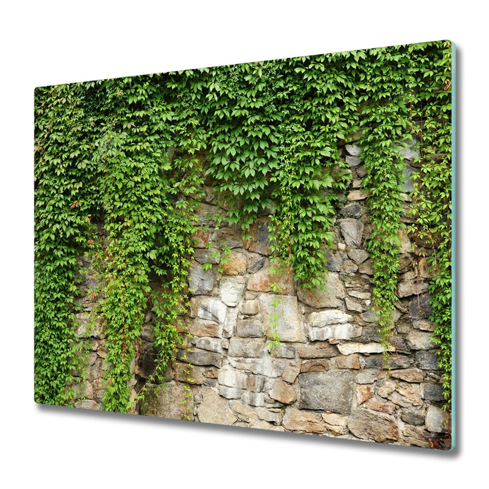 Couvre plaque de cuisson Lierre vert sur un mur