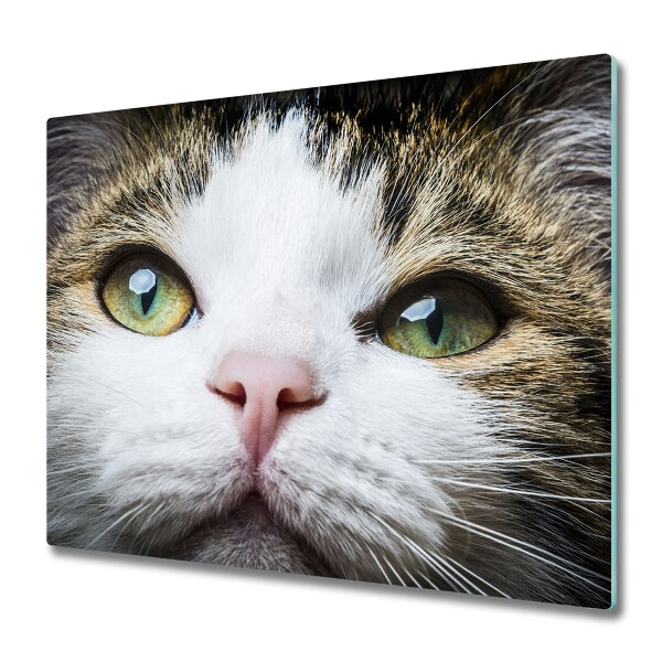 Cache plaque de cuisson Chat aux yeux verts