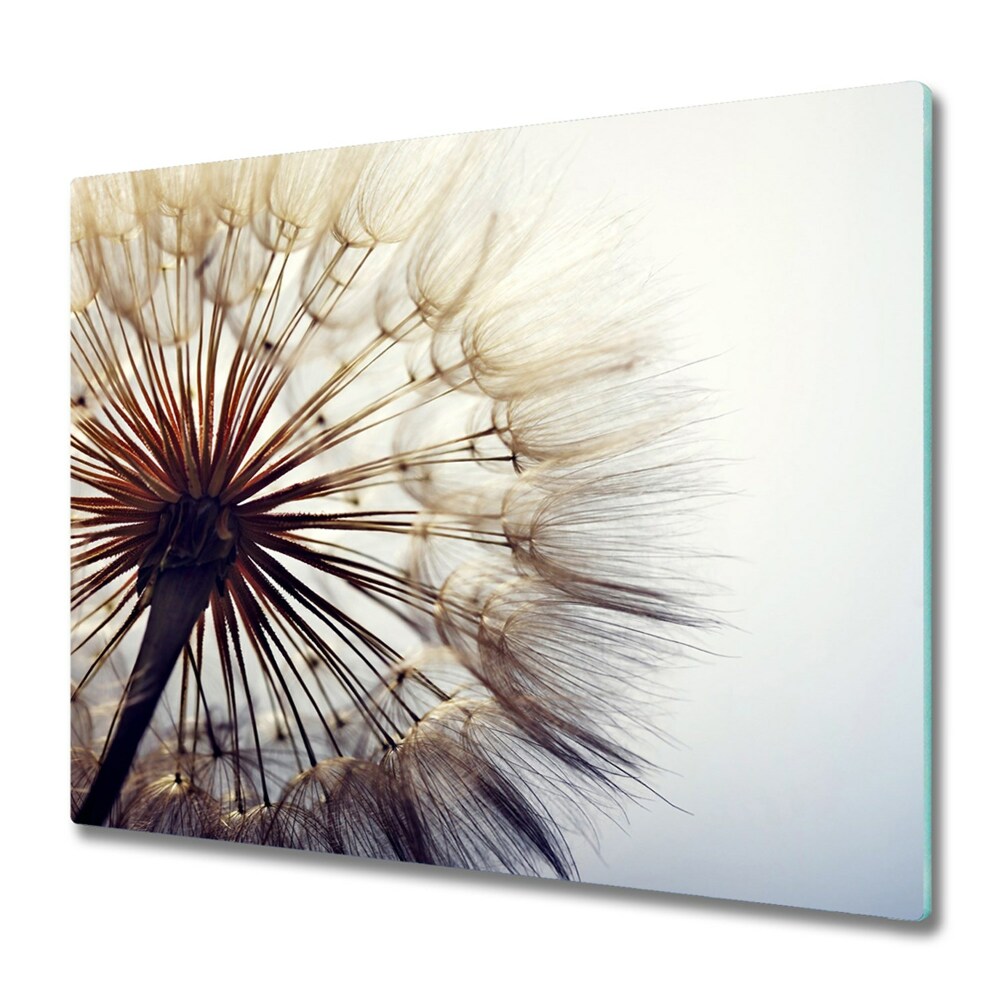 Protection plaque induction Poisson-souffle circulaire