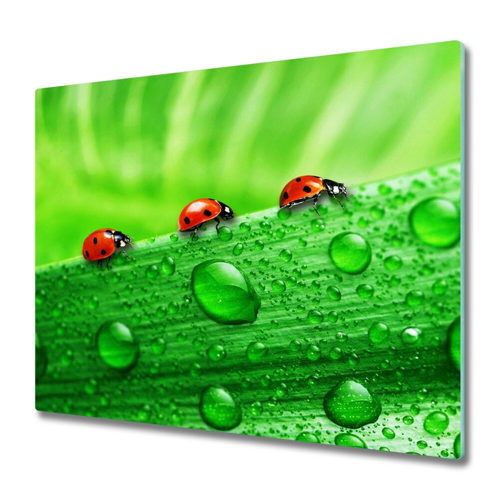 Protège plaque de cuisson Coccinelles sur une feuille