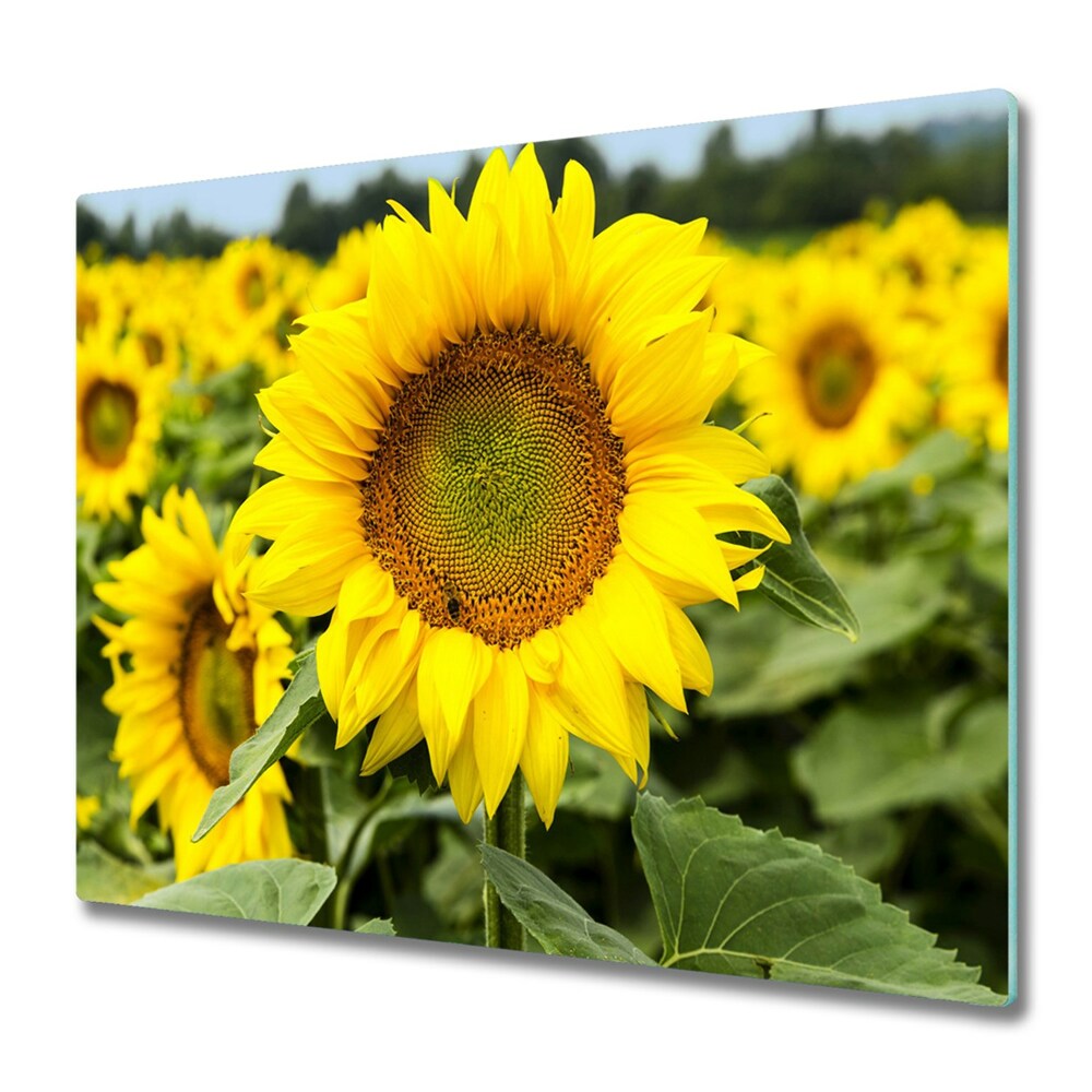 Protège plaque de cuisson Tournesol