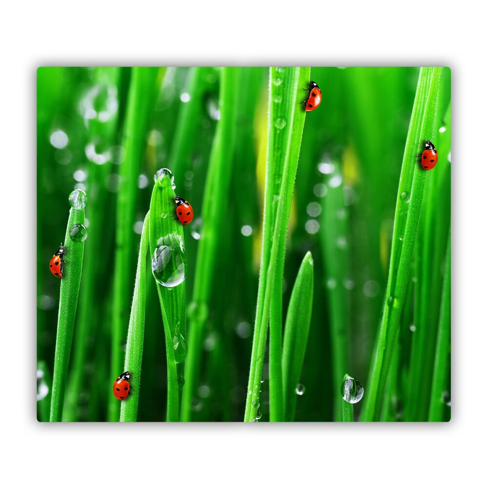 Protège plaque de cuisson Coccinelles dans un pré