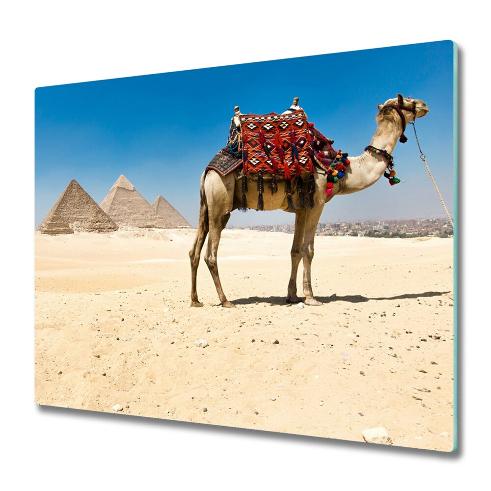 Protection plaque induction Chameau sur fond de pyramides