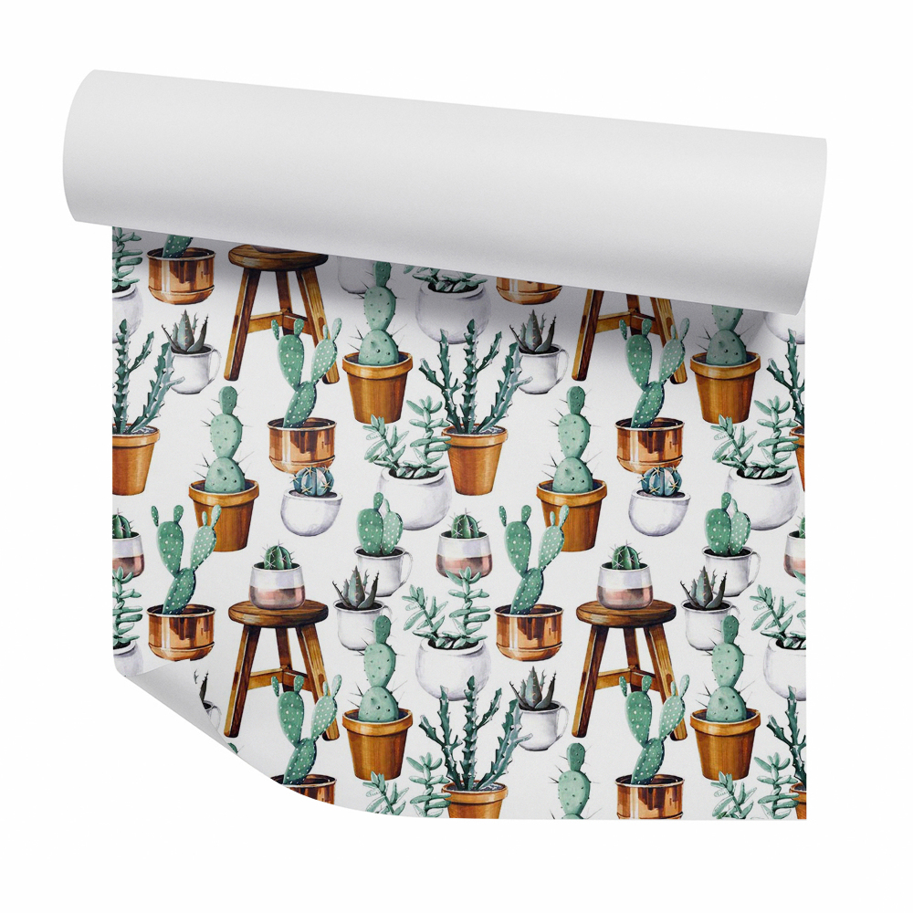 Papier peint Cactus en pots bruns