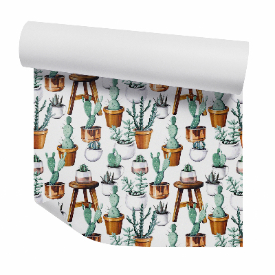 Papier peint Cactus en pots bruns