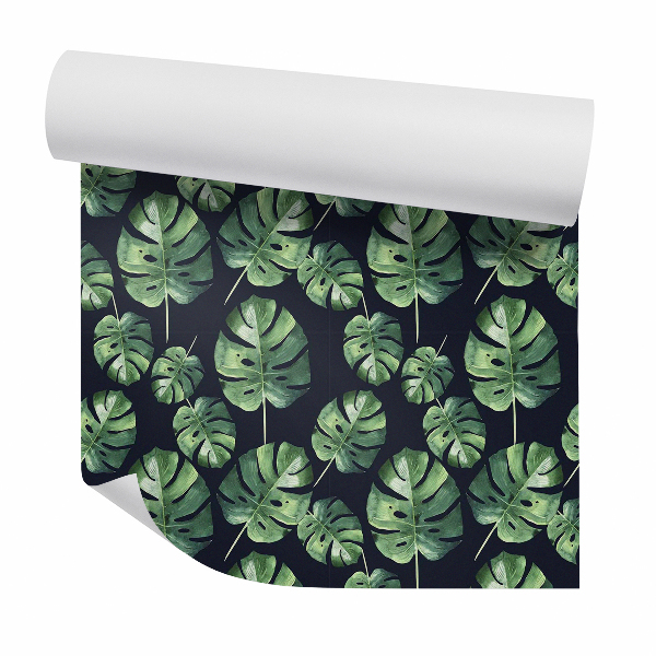 Papier peint Feuilles de monstera tropicales