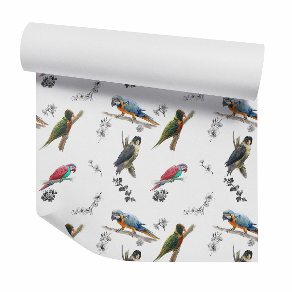 Papier peint Oiseaux exotiques