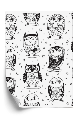 Papier peint Hiboux dessinés en noir