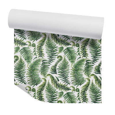 Papier peint Feuilles de fougères vertes