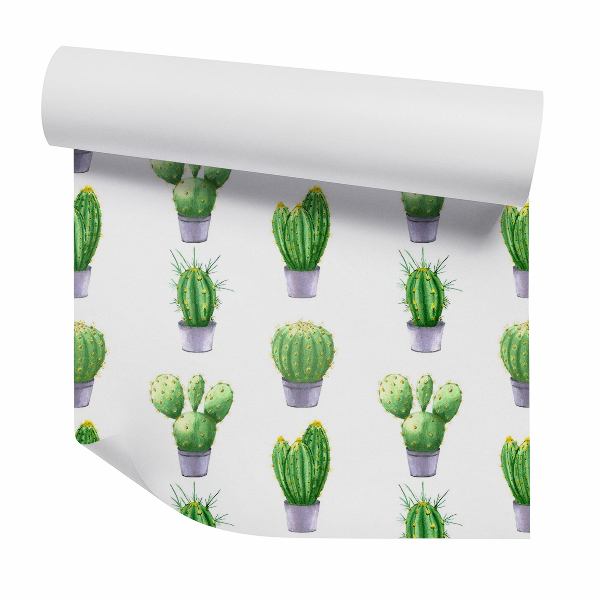 Papier peint Cactus en pots