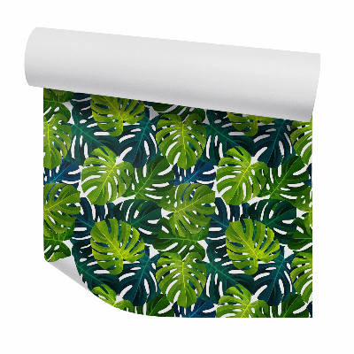 Papier peint Plantes tropicales, feuilles de monstera