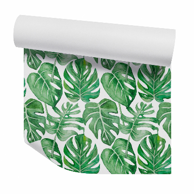Papier peint Grand motif de feuilles de monstera