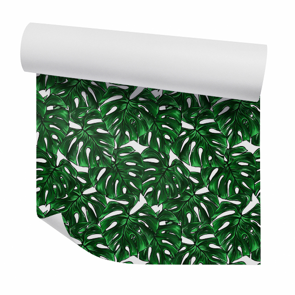 Papier peint Grandes feuilles de monstera